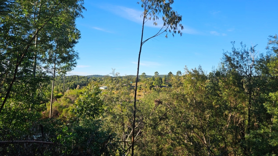Commercial Property for Sale in Sedgefield Rural Western Cape